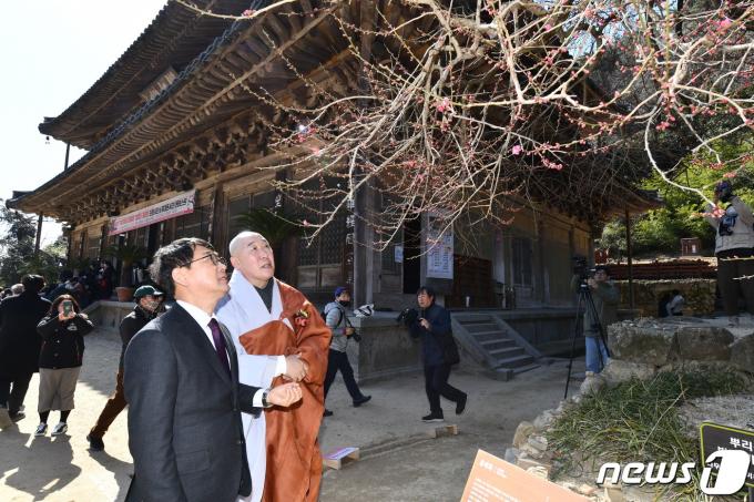 [사진] 구례 화엄사 화엄매 살펴보는 최응천 문화재청장