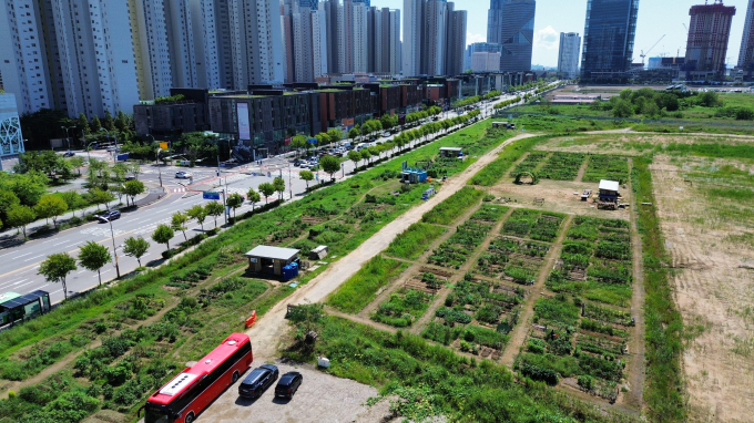 이음텃밭 전경./사진=인천시