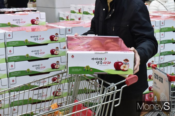 [머니S포토] 사과값이 金값, 10kg 도매가 사상 첫 9만원 돌파