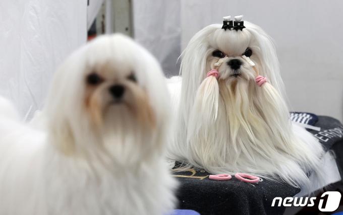 [사진] '예뻐지고 싶어요'