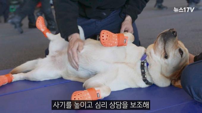 (뉴스1TV 갈무리)