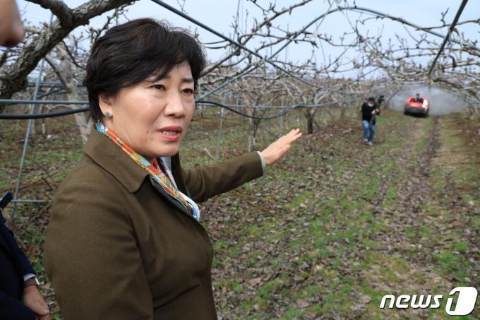 [사진] 송미령 장관, 과일 생육관리 상황 점검