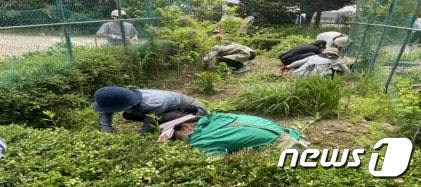 시민정원사 교육생들이 밭을 가꾸고 있다. (서울시 제공)ⓒ 뉴스1