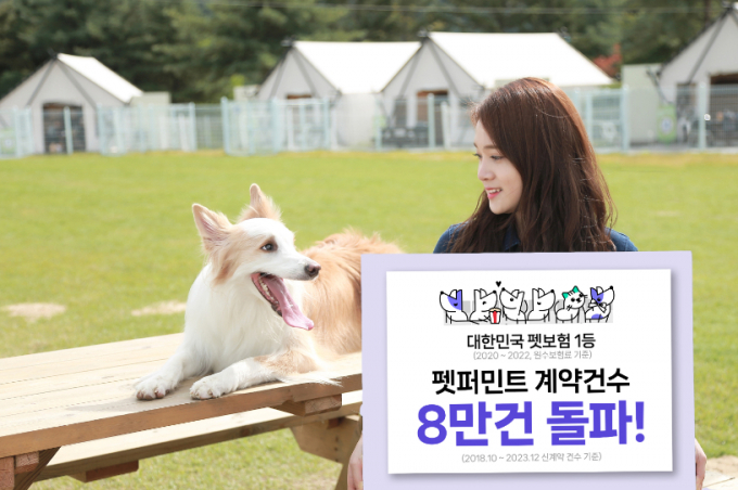 메리츠화재가 펫보험 시장에서 선두자리를 굳건히 유지하는 것으로 나타났다./사진=메리츠화재