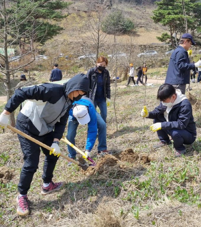 나무 심기 모습./사진=전남도