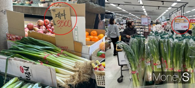 서울의 한 전통시장과 대형마트의 대파 매대. 한단에 각각 3500원과 1980원이라고 쓰여 있다. /사진=연희진 기자