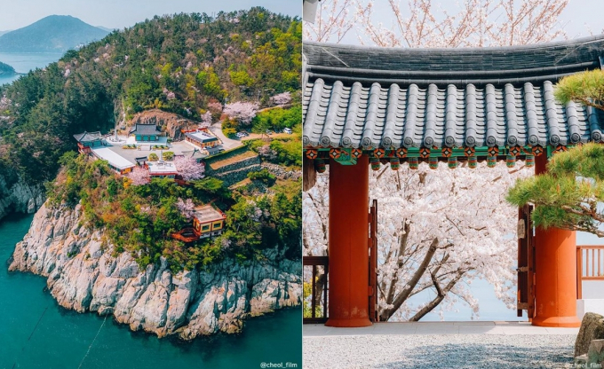 바다 위 사찰로 불리는 용월사는 작고 조용한 절이지만 사시사철 예쁜 꽃이 피어 관광지로 사랑받고 있다. /사진=한국관광공사
