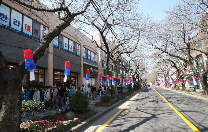 제17회 전농로 왕벚꽃 축제가 개막한 22일 오전 제주시 전농로에서 도민과 관광객들이 벚꽃이 피지 않은 거리를 거닐고 있다./사진=뉴스1