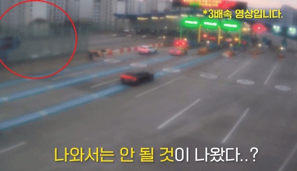(경찰청 유튜브 갈무리)