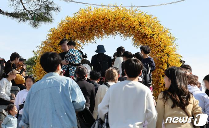 [사진] '꽃놀이 행렬'