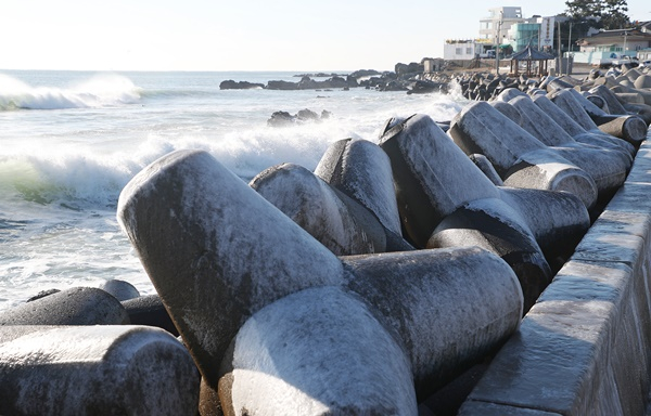 27일 비가 그치고 기온이 올라 날이 포근할 전망이다. 사진은 부산 기장군 해얀가 테트라포드. /사진=뉴스1