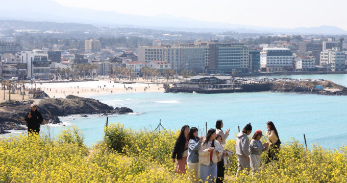 국토부가 제주 국내선 증편과 국제선 노선 추가 계획을 발표했다. 제주 함덕 서우봉에 유채꽃이 활짝 핀 가운데 관광객들이 즐거운 시간을 보내고 있다. /사진=뉴스1