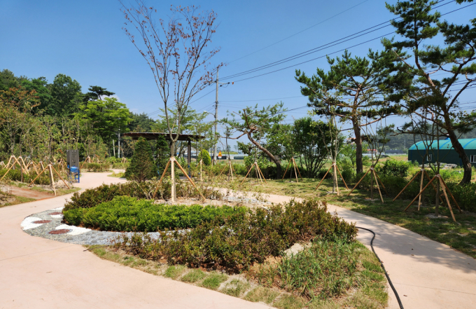 2023년 안산시 복지시설 어린양의 집 나눔숲 조성 사례. / 사진제공=경기도
