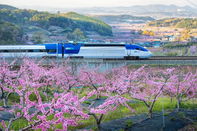 KTX 산천 모습.(한국철도공사 제공)