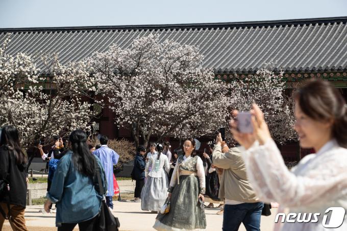 [사진] 고궁에서 느끼는 봄