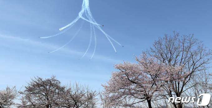 [사진] 꽃처럼 내려오는 블랙이글스