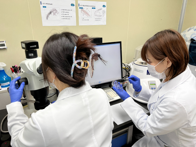 경기도보건환경연구원이 4월부터 10월까지 말라리아 선제적 대응을 위한 말라리아 매개모기 조사감시사업을 실시한다. / 사진제공=경기북부청