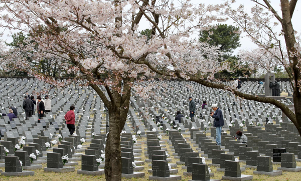 제주특별자치도가 제76주년 4·3 희생자 추념식 당일에 예보된 악천후 대비에 나섰다. 사진은 4·3 희생자 추념식을 하루 앞둔 2일 오전 제주시 봉개동 제주4·3평화공원. /사진=뉴시스