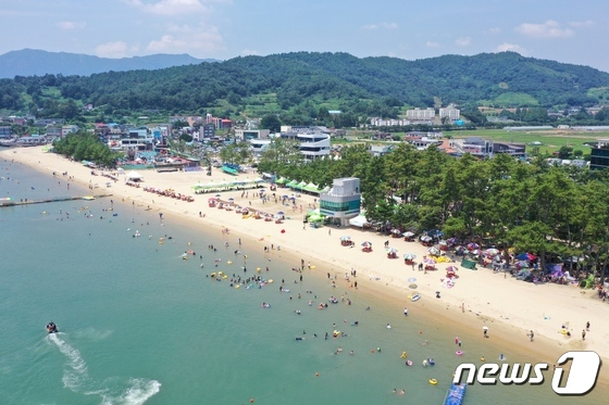                                      보성 율포솔밭해수욕장/뉴스1