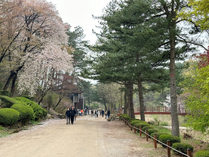 안양시가 관내 비개방 학교수목원인 '서울대 관악수목원'을 이달 15일부터 다음달 8일까지 개방한다. / 사진제공=안양시