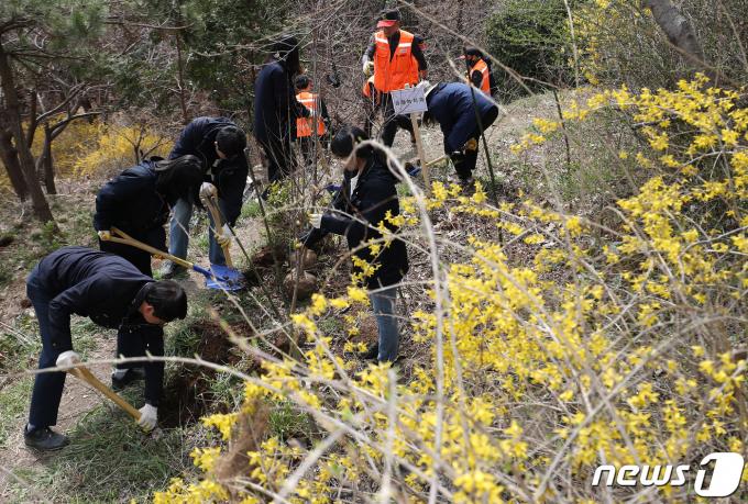 지난 3월27일 부산 부산진구 백양산 용골 일원에서 열린 제79회 식목일 기념 나무심기 행사에서 참석자들이 나무를 심고 있다. (자료사진) 2024.3.27/뉴스1 ⓒ News1 윤일지 기자