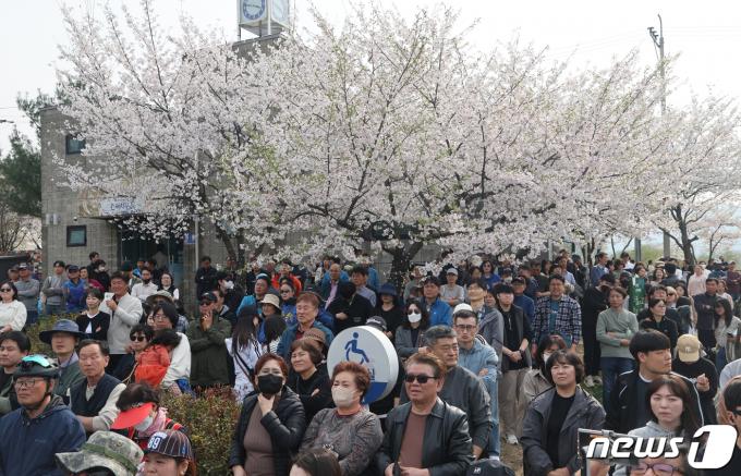 [사진] 벚꽃 유세
