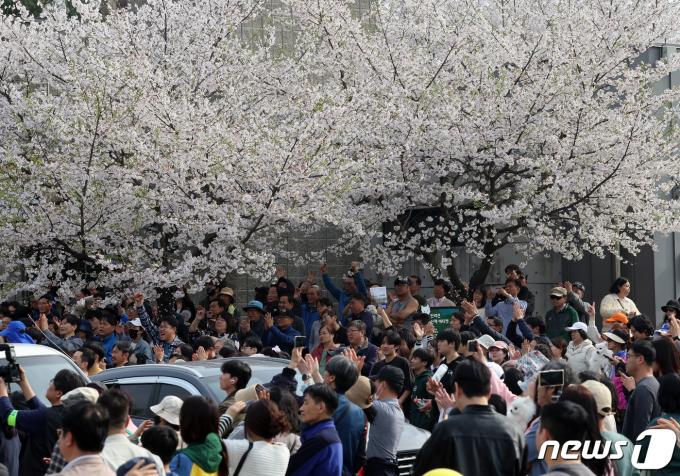 [사진] 4월 총선 '벚꽃 유세'