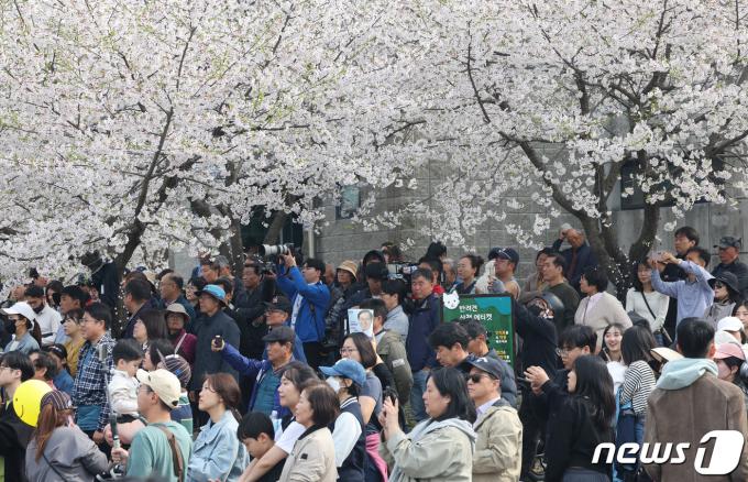 [사진] 4월 총선 '벚꽃 유세'
