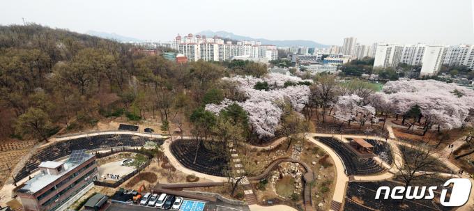[사진] 벚꽃 이불 덮은 초안산 수국동산 ‘숲 속 힐링 피크닉장’