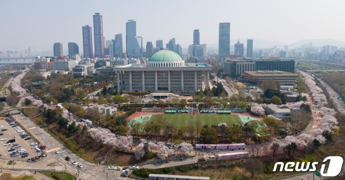 [사진] 여의도 벚꽃 '절정'