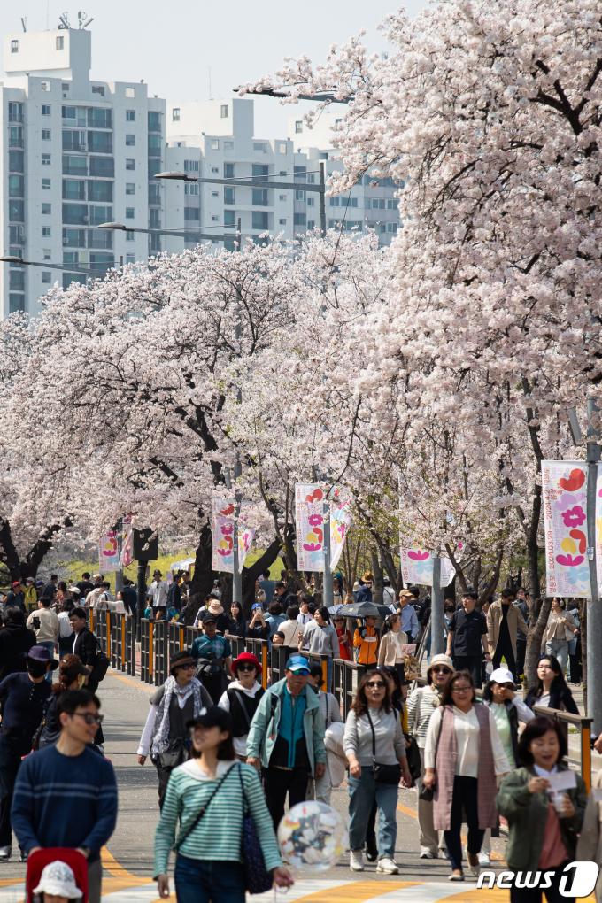 [사진] 여의도 봄꽃축제 찾은 시민들
