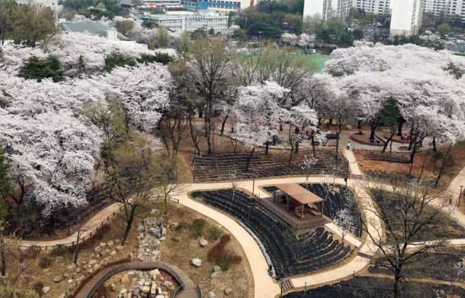 전국 대부분 지역 낮 기온은 20도 이상으로 올라 포근하다. /사진=뉴스1