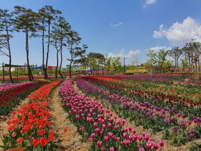 '2024 평택꽃나들이' 행사가 평택시 농업생태원에서 오는 13일부터 17일까지 5일간 개최된다. 사진은 2023년 행사 모습. / 사진제공=평택시