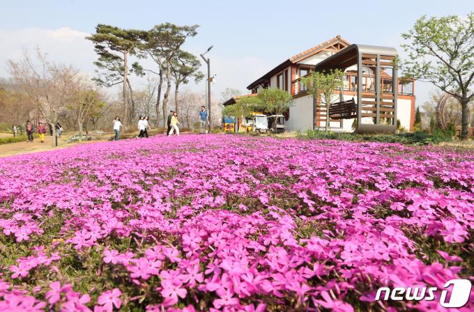 [사진] 옥정호의 봄