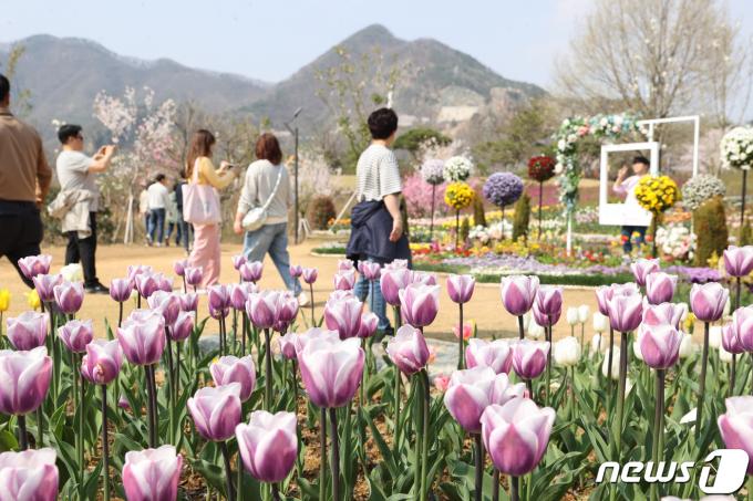 [사진] 옥정호의 봄의 색
