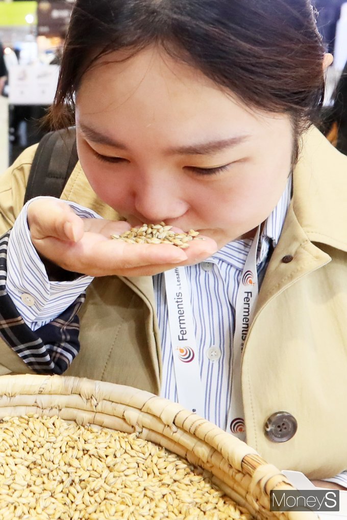 [머니S픽] 맥주의 모든것이 한자리에… '제6회 KIBEX' 개최