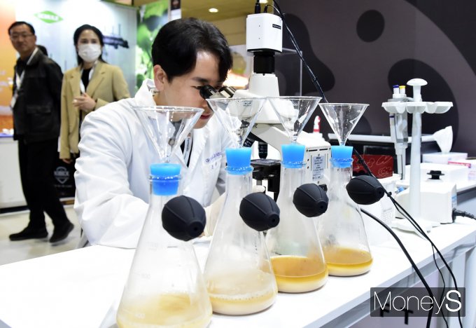 [머니S포토] 살아 숨시는 맥주 효모 어떻게 생겼나