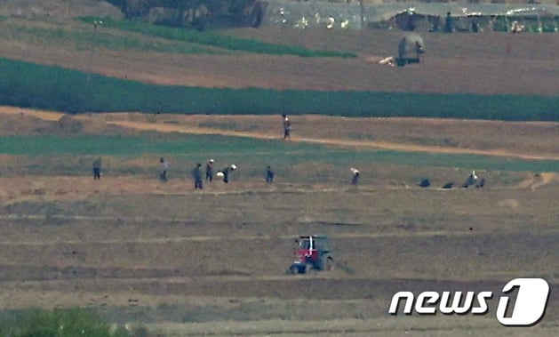 [사진] 태양절 앞두고 농사 짓는 북한 주민들