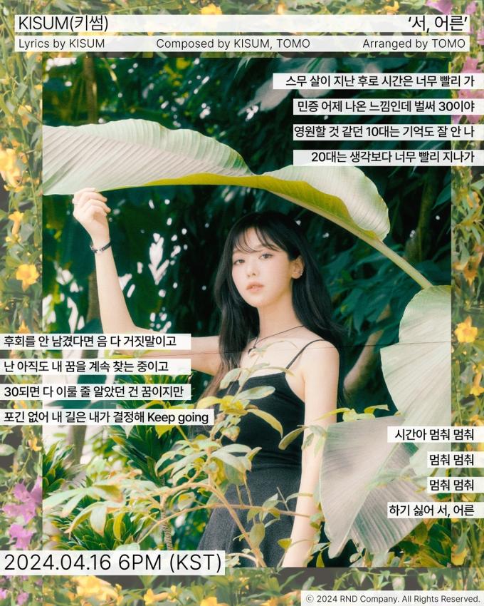 알앤디컴퍼니