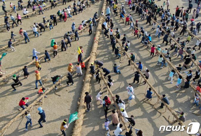 [사진] 500년 전통 잇는 기지시줄다리기