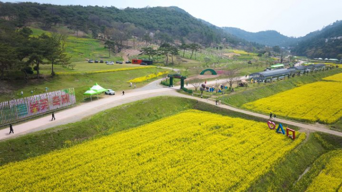 '2024 화순 고인돌 봄꽃축제'가 오는 18일 고인돌 유적군 일대에서 개막한다./화순