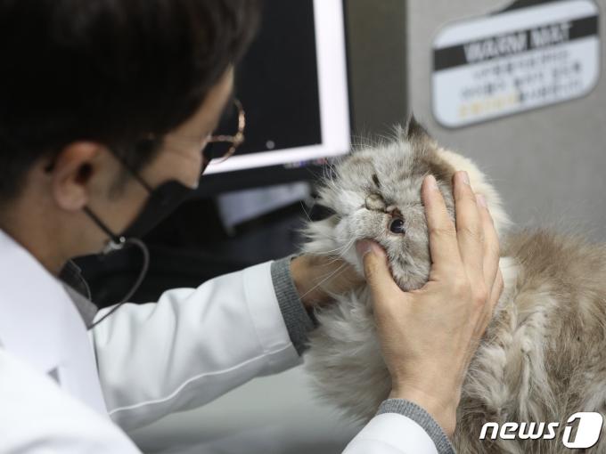 (사진은 기사 내용과 무관함) 2023.1.4/뉴스1 ⓒ News1 신웅수 기자