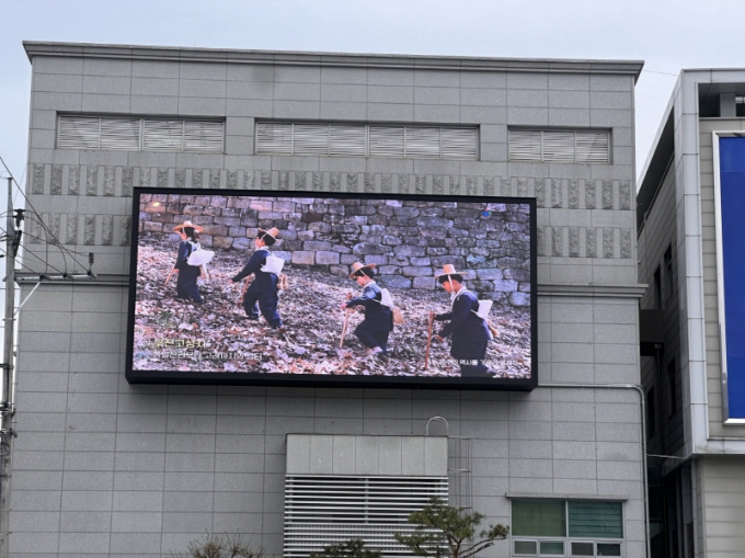 화순군 전광판.