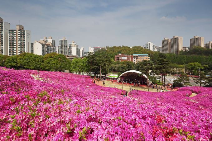 전망대에서 바라본 철쭉동산. / 사진제공=군포시