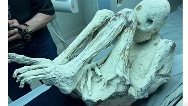 페루에서 손가락 세개를 가진 '임신 상태의 외계인 미라'가 발견돼 페루 정부가 진위 파악에 나섰다. 사진은 미라 상태 생명체의 모습. /사진=영국 인디펜던트 갈무리