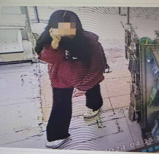 광주에서 사라진 여중생이 사흘 만에 경기도 이천의  한 빌라에서 발견돼 경찰이 해당 빌라를 제공한 남성에 대해 조사 중이다. 사진은 실종 당시 여중생 모습. /사진=경찰청 실종아동찾기센터 블로그