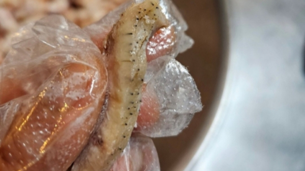 국밥집 사장이 본사로부터 털이 제거되지 않은 머리 고기를 받고 있다며 불만을 제기했다. 사진은 해당 게시글에 올라온 머릿고기 사진. /사진=머니투데이(온라인 커뮤니티 캡처)