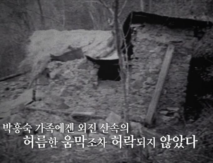소년 박흥숙이 가족을 위해 60일간 지은 산속 움막집. (SBS '꼬리에 꼬리를 무는 그날 이야기')