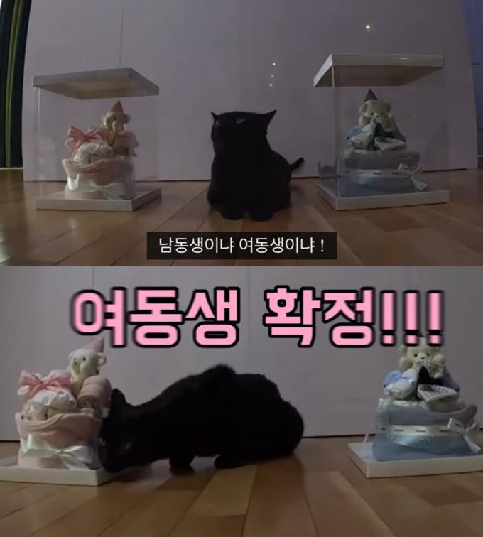 (유튜브 채널 '행복해다홍' 갈무리)