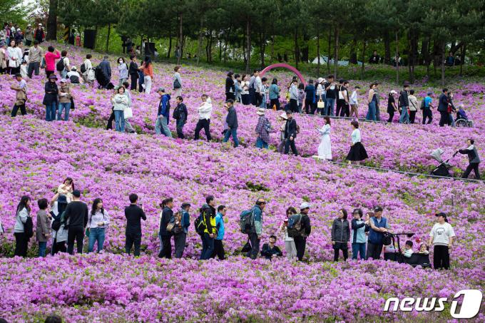 [사진] 인파 몰린 불암산 철쭉제